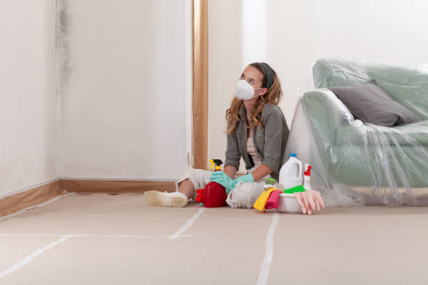 Reliable Commercial Mold Remediation contractor in Harrisburg, OR by WQB Mold Removal